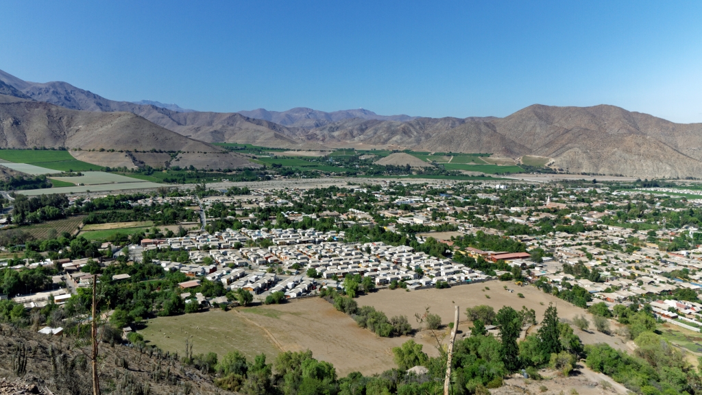 03 - La Serena (25) - Vicuña.jpg